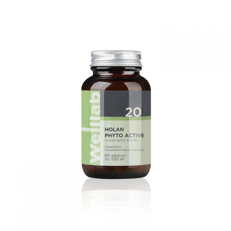 БАД для желчевыделительной системы Welllab HOLAN PHYTO ACTIVE, 60 капсул